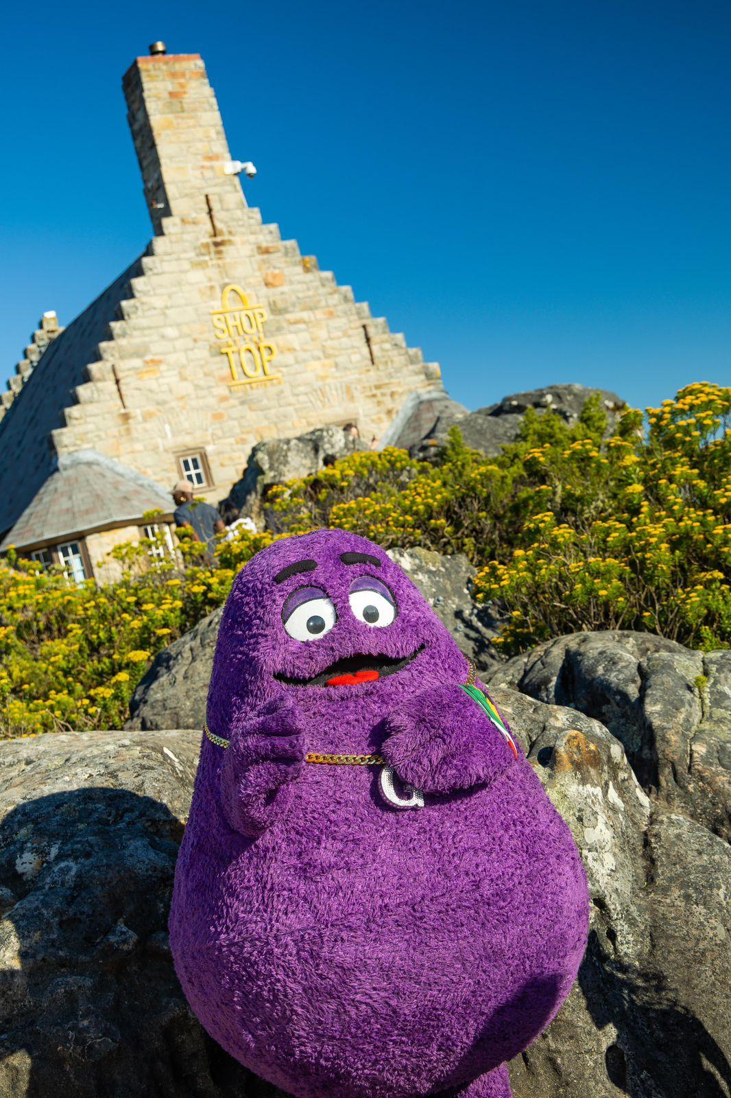 Grimace Image 4