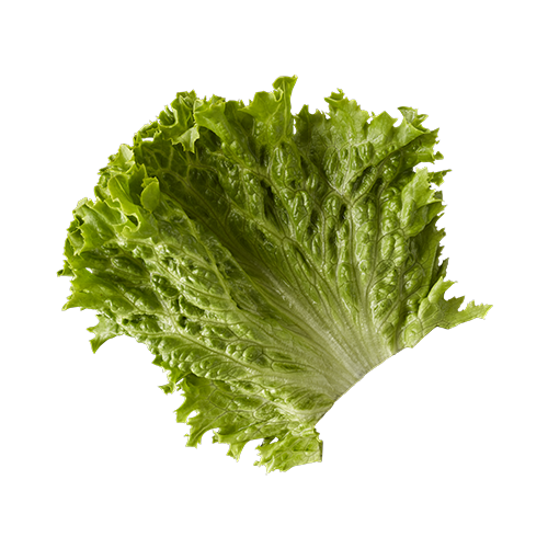 Fancy lettuce - McDonald's