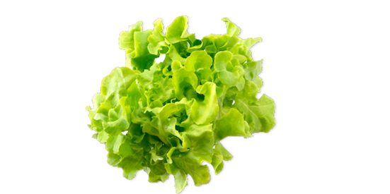 Green Oak Lettuce - McDonald's
