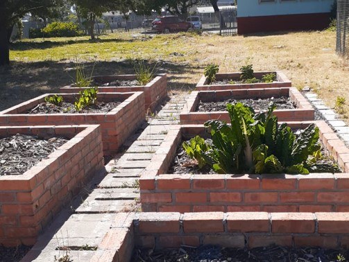McDonalds-McDonald’s South Africa Focuses on Sustainability Through Localised Supply Chains and Digital Innovation